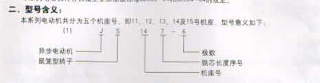 JS電機(jī)(6kV、10kV)(圖1)