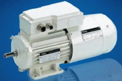 電機(jī)的相帶問(wèn)題以鐵路電機(jī)及槽電勢(shì)星形圖。