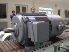 變頻電機(jī)的ZTP電機(jī)應(yīng)用場合。