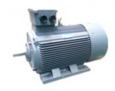 昆明維修直西瑪流電機(jī)廠家